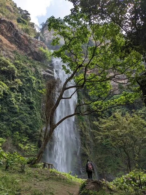 Tourisme au Togo : Guide des Incontournables et Comment Réserver votre Tour — photo 3