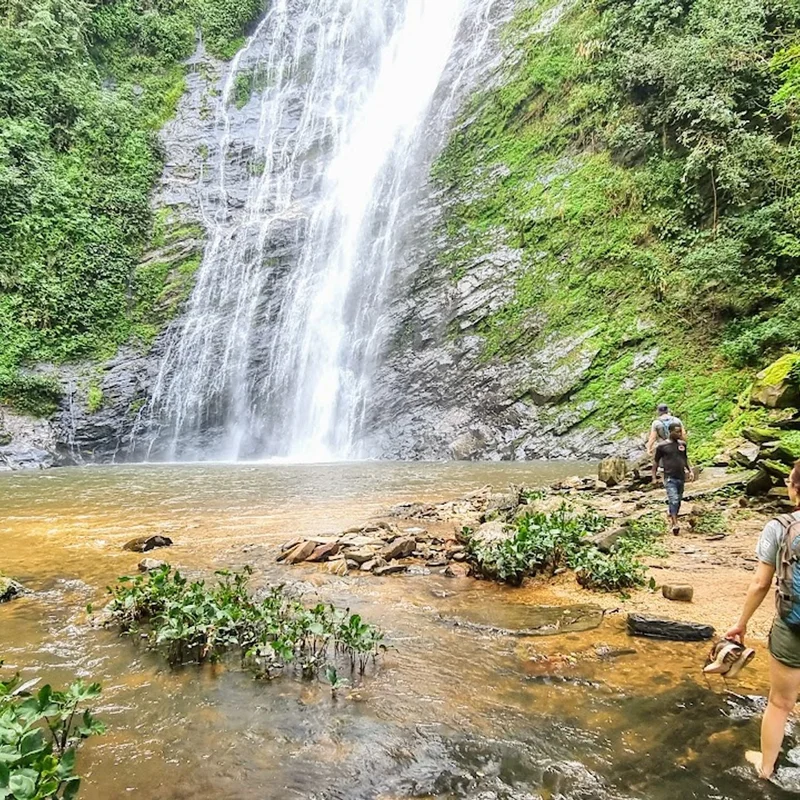 La Cascade d'Akloa : La Chute Magique au Cœur de la Forêt des Plateaux